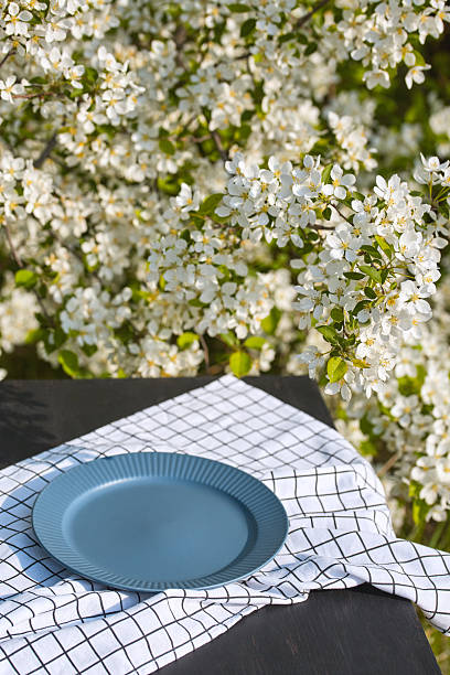 Elegant blue plate on a table with spring blossom background