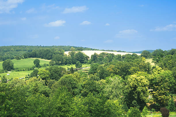 istock Scenic countryside view with lush greenery and gentle hills 2215214110