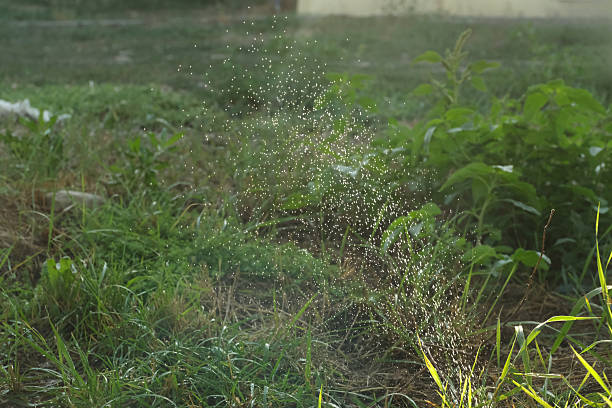 istock Sparkling water droplets suspended in the air under sunlight, creating a magical and refreshing visual effect in a grassy field 2215214287