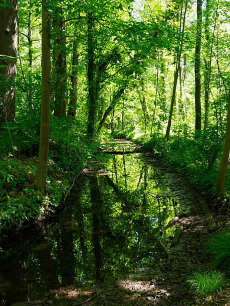 istock The Monza park in April 2215217052