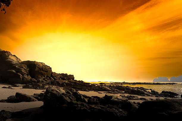 A beautiful sunset on the beach with summer background. Golden hues fill the sky as the sun sets over a tranquil beach. The shoreline curves gently alongside a calm ocean, with the waves lightly touching the sand. Silhouetted trees and cliffs are visible in the background, adding depth to the scene. The warm colors create a serene and peaceful atmosphere, typical of a summer evening.