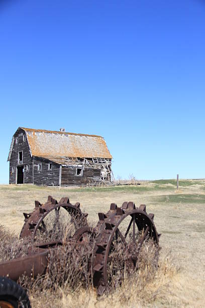 istock Living in the Wild West 2215223025