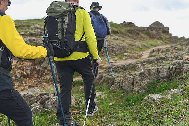 istock Group Of Friends Taking In Natural Beauty While Equipped For Day Hike 2215223921