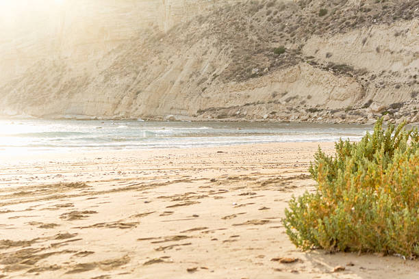 Golden light bathes a remote beach, evoking serenity and peaceful isolation, perfect for travel blogs, wellness content, or quiet contemplation.