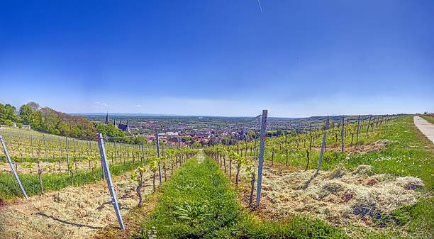 istock Panoramic view of Nierstein and vineyards 2215226299