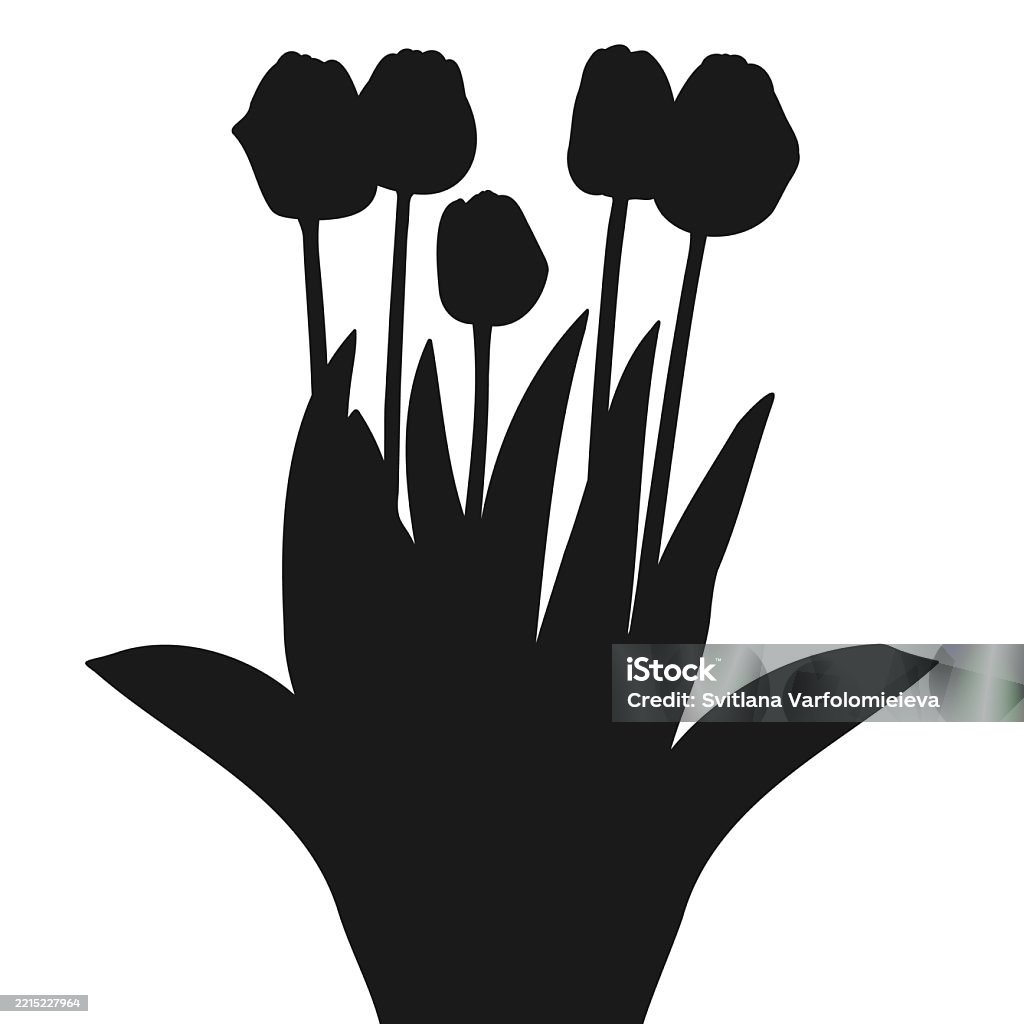 Blooming Spring Tulip Flowers Silhouette Blooming tulip flowers silhouette. Spring flowers bouquet botanical vector illustration. Bouquet stock vector Blooming Spring Tulip Flowers Silhouette Blooming tulip flowers silhouette. Spring flowers bouquet botanical vector illustration. Bouquet stock vector