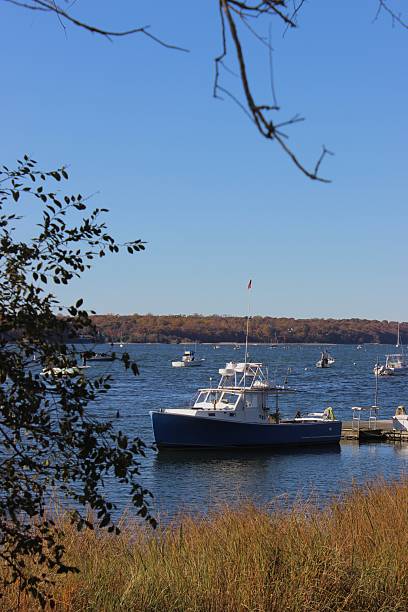istock Boat in the water framed by trees 2215230426