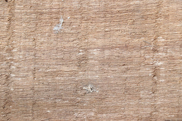 Old wooden texture for background that has natural cracks.