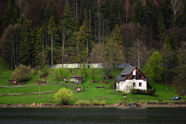 Landscapes of the Carpathian Mountains with rural villages, evergreen forests, wooden structures, wildflowers, and foggy hills. Nature and countryside in different seasons and light.