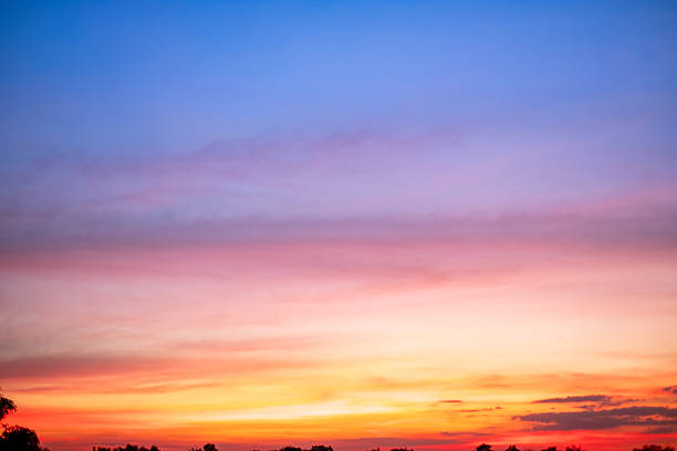 Night sky just after sunset with trees in sillhouette on the flat horizon