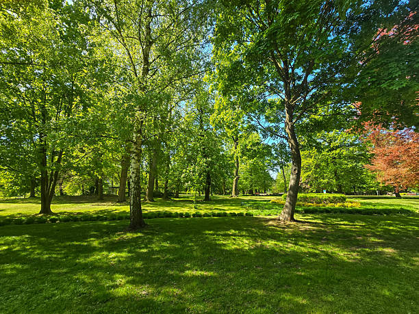istock Urban Nature Peaceful Park Landscapes 2215238507
