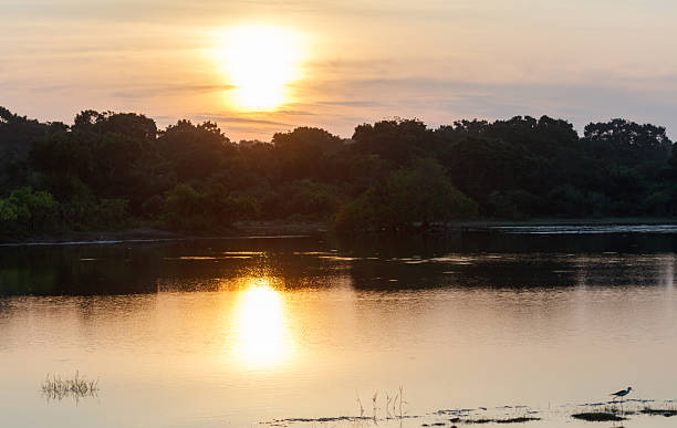 istock A sunset over a lake with a bird flying over the water 2215240604