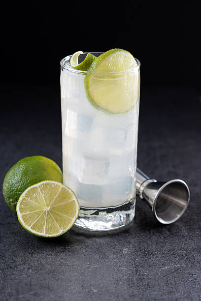 istock Gin Fizz cocktail with lime on black background 2215244428