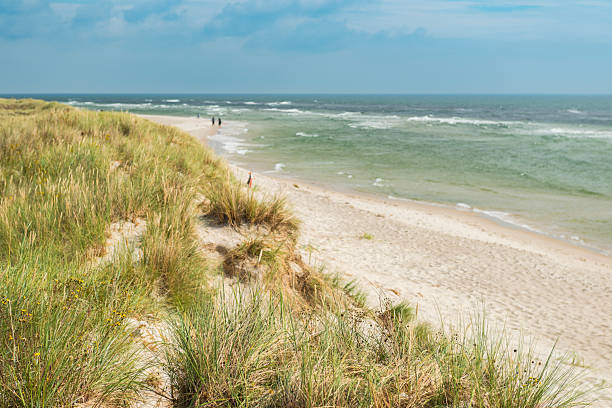 Empty beach in summertime. Sandhammaren beach in Skane, Sweden.