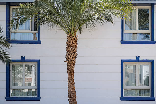 Tropical view background. Summer, travel, vacation and holiday concept. Palm tree and windows. Facade of the House with windows and palm tree in front. Nobody, street photo
