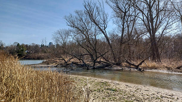 istock River and Natural Landscape in Toronto 2215254887