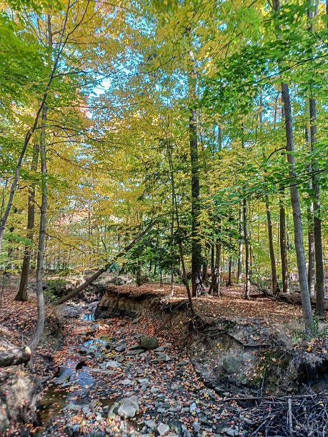 istock James Gardens park in Toronto 2215254921