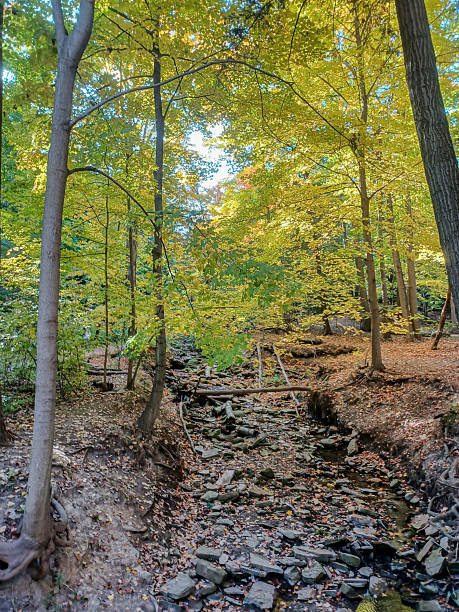 istock James Gardens park in Toronto 2215254924