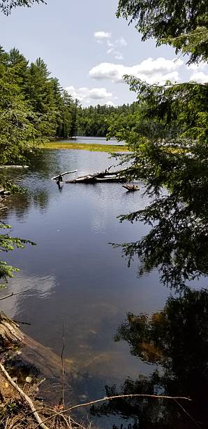 istock Back Country Lake 2215256315