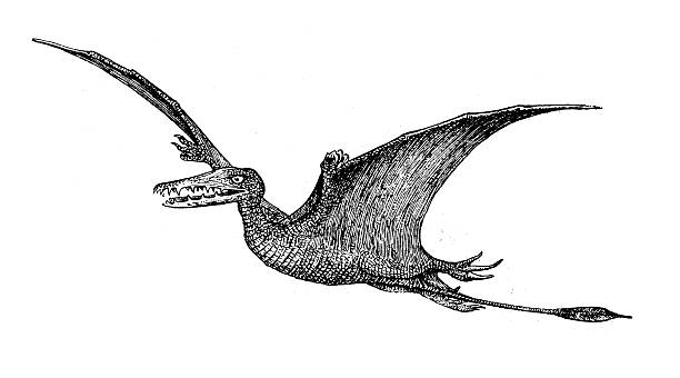 Antique fable illustration: Pterodactyl