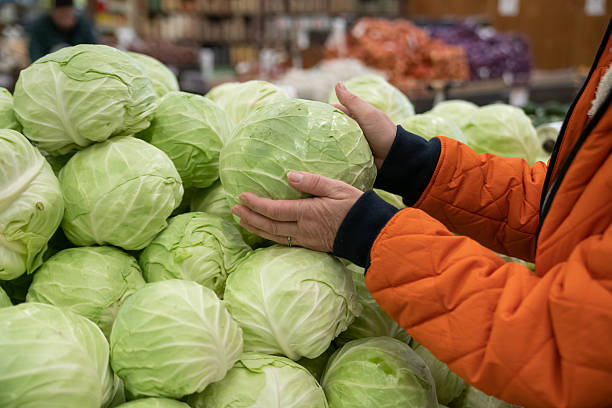 istock Women's hands pick up fresh cabbage from the display case at the supermarket. 2215262394