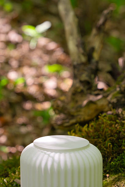 Product display podium on mossy ground in a natural forest setting during daytime