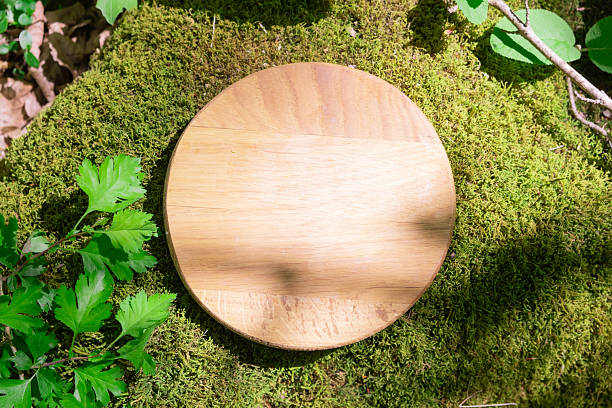 istock Wooden podium placed on mossy ground in a serene forest setting during daylight hours 2215262712
