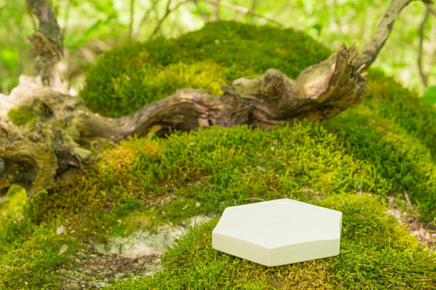 istock Product display podium on mossy ground in a natural forest setting during daytime 2215262720