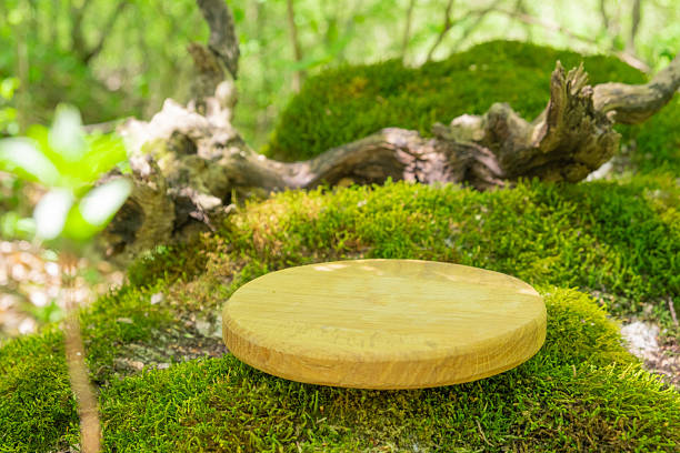 istock Natural wooden podium set on a moss-covered surface in a lush forest environment during daylight hours 2215262729