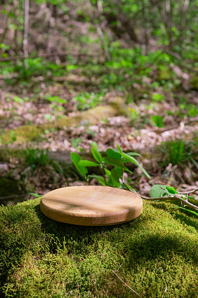 istock Wooden podium rests on mossy ground in a tranquil forest setting surrounded by greenery and natural beauty 2215262753