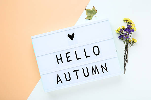 istock Lightbox with words Hello Autumn and flowers on colorful background 2215268105