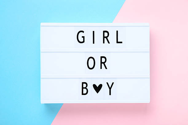 istock Lightbox with words Girl or Boy on colorful background 2215268151