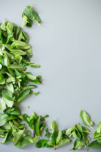 istock Bunch of fresh aromatic mint on gray textured background 2215269848