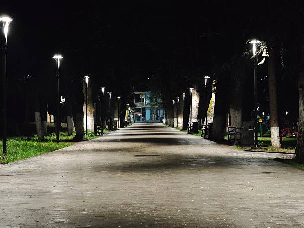 istock Empty alley illuminating benches in deserted park at night 2215271793