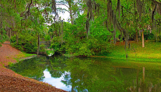 istock Lagoon view with bridge and spanish moss-Hilton Head, South Carolina 2215271798
