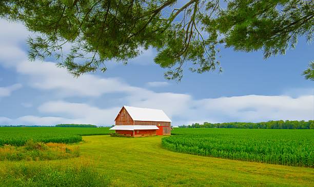 istock OLd Weathered barn with cornfield-Howard County, Indiana 2215271801