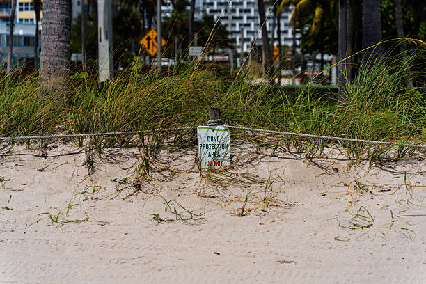 Sunny blue skies and white sand beaches of Fort Lauderdale. Beach life and vibes.