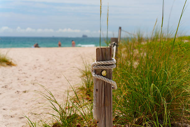 Sunny blue skies and white sand beaches of Fort Lauderdale. Beach life and vibes.