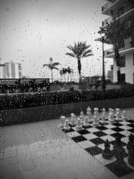 Local shots of every day life in Southern Florida. Nostalgic, modern and real.