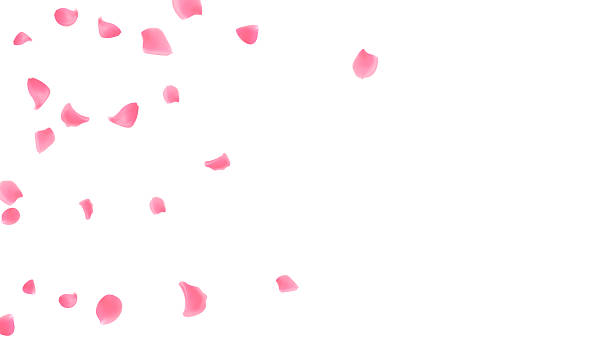 istock Pastel-colored event, celebration, happy holiday and surprise party with rose petals 2215275057