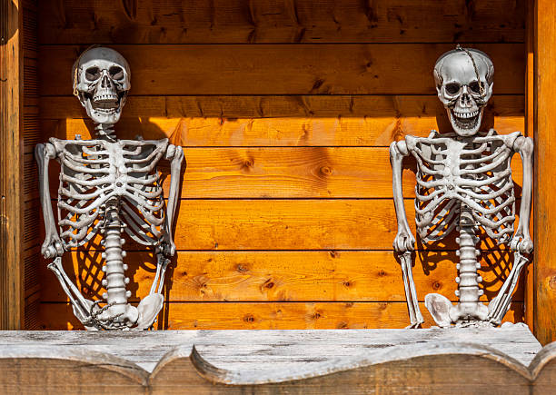 Skeletons sitting on a wooden bench in a rustic setting during the day create a spooky yet humorous atmosphere for Halloween festivities