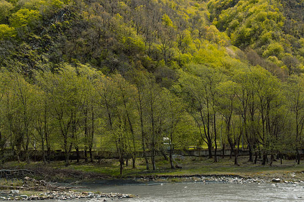 Ecological untouched Fresh clean water in nature, close up background