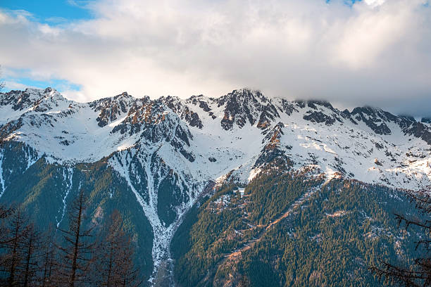 Snowy chamonix mountain ridge with dramatic peaks and pine forest