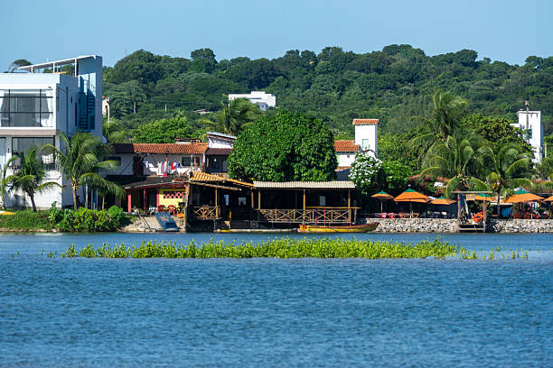 istock Beautiful view of Genipabu Beach 2215281337