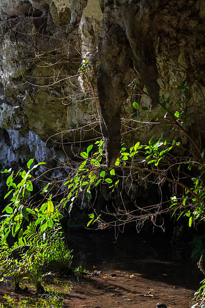 istock Calm and peaceful cave interior showcasing vivid greenery and a rocks 2215281730