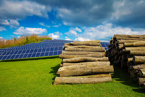 Photovoltaic solar panel with landscape