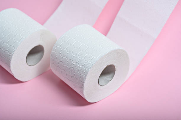 istock Two rolls of soft, white toilet paper sit against a pink backdrop, emphasizing hygiene and comfort 2215291657