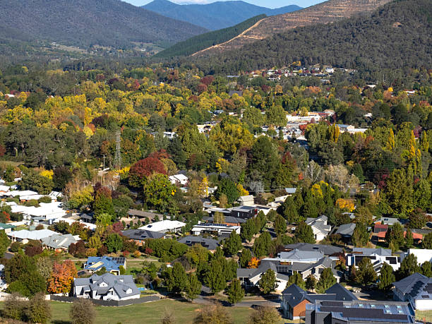istock High angle view of houses and trees 2215292979