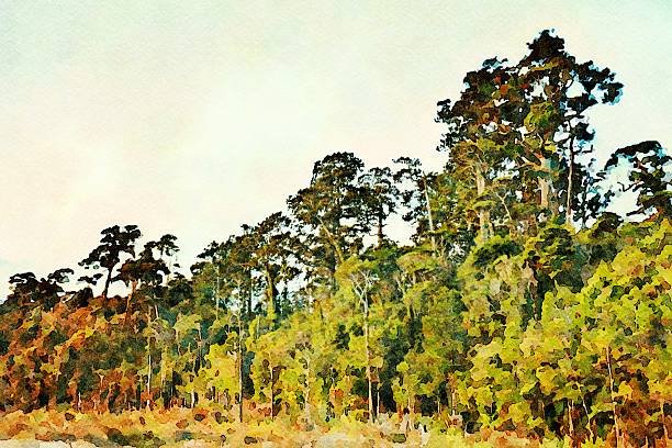 This is my photographic image of trees in a watercolour effect. Because sometimes you might want a more illustrative image for an organic or art style look.