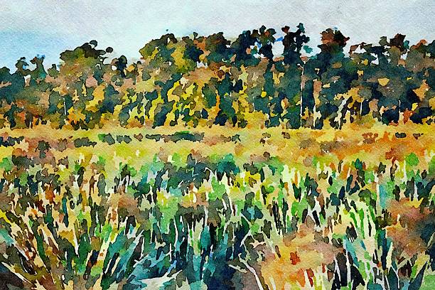istock Watercolor Illustration of Trees 2215304265
